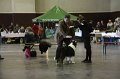 IMG_0317