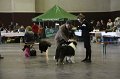 IMG_0318