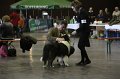IMG_0319