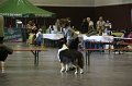 IMG_0322
