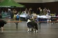 IMG_0323