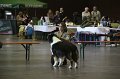 IMG_0324