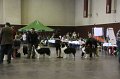 IMG_0329