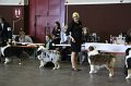 IMG_0334