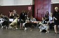 IMG_0335