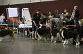 IMG_0339