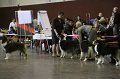 IMG_0340
