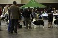 IMG_0344
