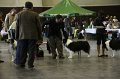 IMG_0345