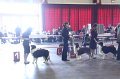IMG_0347