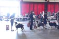 IMG_0348