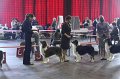 IMG_0349