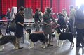 IMG_0351