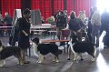 IMG_0353