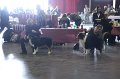 IMG_0355