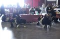 IMG_0356