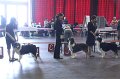 IMG_0359