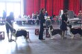 IMG_0360