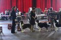 IMG_0361