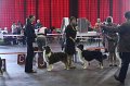 IMG_0362