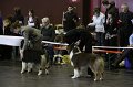 IMG_0368