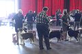 IMG_0371