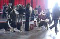 IMG_0372