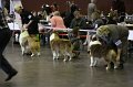 IMG_0379