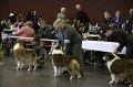 IMG_0381
