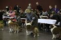 IMG_0382