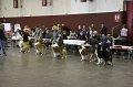 IMG_0389