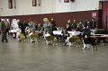 IMG_0390