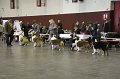 IMG_0391