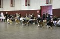 IMG_0392