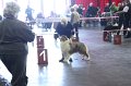 IMG_0393