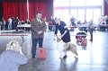 IMG_0395