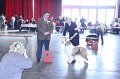 IMG_0396