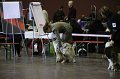IMG_0402