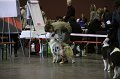 IMG_0403