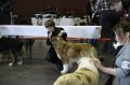 IMG_0431