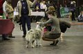 IMG_0436