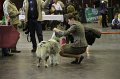 IMG_0437
