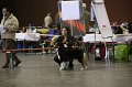 IMG_0441
