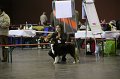 IMG_0442