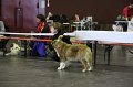 IMG_0443