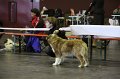 IMG_0444