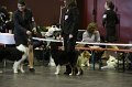 IMG_0447