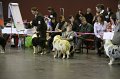 IMG_0452