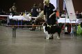 IMG_0456
