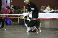IMG_0458